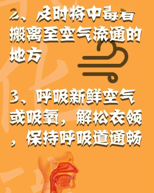 消防安全心中記，平平安安過大年——系列三：消防安全全攻略